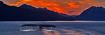 Alaska Oceania Cruises